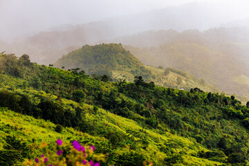 Fototapeta premium Panoramic nature background of mountain tops or from the top of a hill, where the trees are seen, hidden and there is beautiful light shining from the sky.