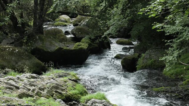 When it Rains, Underground Water from the Mountains Collects and Flows into the River | Takinoyu River, Nagano, Japan