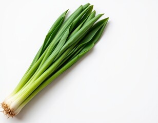 An image of a fresh, organic green leek on a white background, positioned to the left with ample copy space on the right