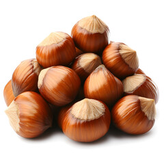 in-shell hazelnuts isolated on white background