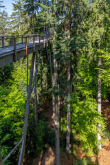 Steg des Baumwipfelpfades im Nationalpark Bayerischer Wald