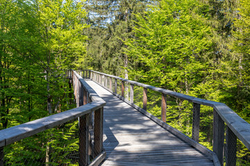 Steg des Baumwipfelpfades im Nationalpark Bayerischer Wald