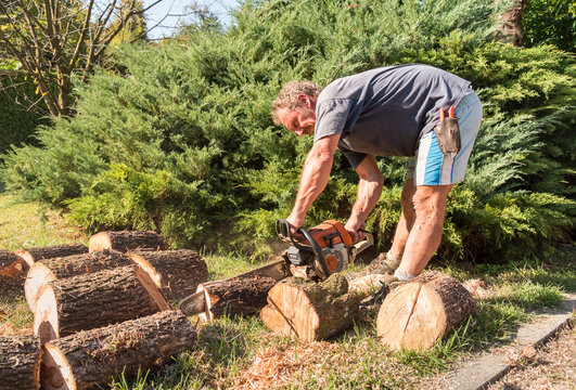 Professional gardener using a chainsaw to cut a tree trunk for firewood in the garden.