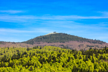 Blick auf den Gipfel des Lusen, Bayerischer Wald