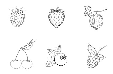 Berry Collection Line Art Vector Set - Outline Fruits Illustrations