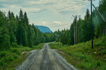 Fototapeta premium typical vast landscape of the fjell in swedish Lapland.