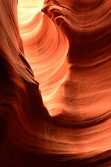 Rattlesnake Slot Canyon Arizona
