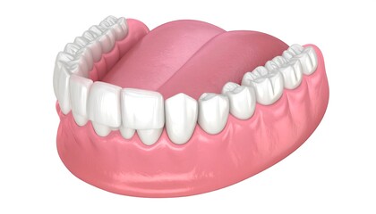 Obraz premium 3D model of human teeth and gums (1)