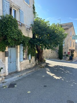 Fototapeta Provence