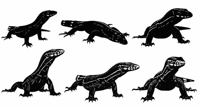 Monitor Lizard Silhouette Set on White Background &ndash; Komodo Dragon, Water Monitor, Savannah Monitor, Nile Monitor, Exotic Reptiles, and Giant Lizard Vector Silhouettes Isolated