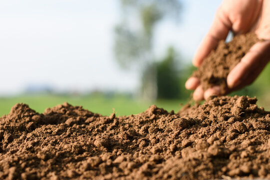 The fertile loamy soil is suitable for cultivation and agriculture.