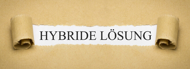 Hybride Lösung
