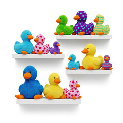 set of birds