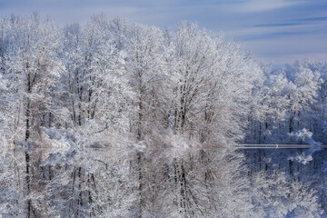 Winter landscape of snow covered trees on the shoreline of Jackson Hole Lake with reflections in...