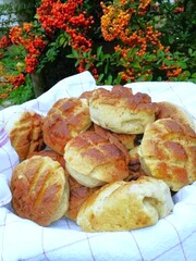 Freshly baked, scored lard pastry in a bowl lined with a kitchen cloth, with a sea buckthorn bush (Hippophae) visible behind it, with its orange berries.
