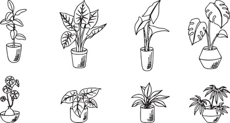 Line art illustration of hand-drawn potted house plants in a black and white vector format.