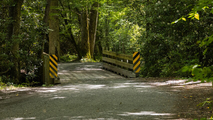 A bridge in the park.