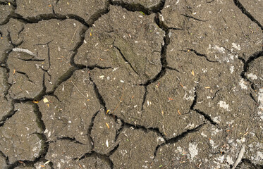 Dry cracked earth close-up texture. Soil erosion. Climatechange Concept
