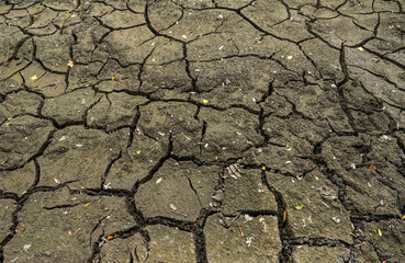 Dry cracked earth close-up texture. Soil erosion. Climatechange Concept