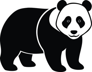 Naklejka premium Panda animal silhouette in standing pose with round ears and distinct markings, isolated on white background