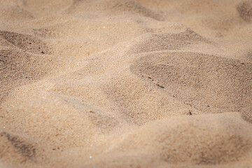 Fine light brown sand grains create gentle ripples and small mounds in the sunlight. A natural texture that is ideal for backgrounds.