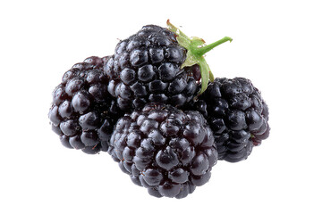 Close-up of dark purple blackberries clustered together