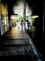 people walking in the city