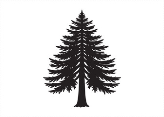 Redwood Tree Black Silhouette Isolated Nature Illustration Vector.