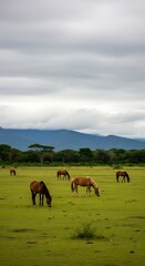 Fototapeta premium Horses Grazing in a Meadow Landscape.