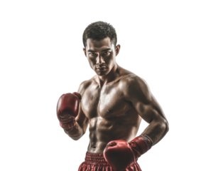 Boxing athlete training for competition in a focused stance on a transparent background, cut out