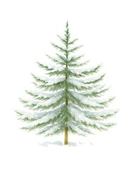 Watercolor Christmas Tree Illustration, Festive Holiday Decoration Isolated on White Background