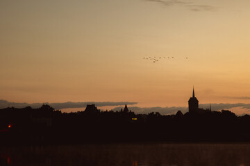 sunrise over the foggy river in Toruń