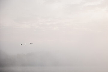 sunrise over the foggy river in Toruń