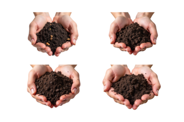 Hands holding soil, showcasing different textures and colors of earth. Ideal for gardening, agriculture, or environmental themes