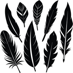 Elegant Black Feather Collection: Designs for Art & Crafts