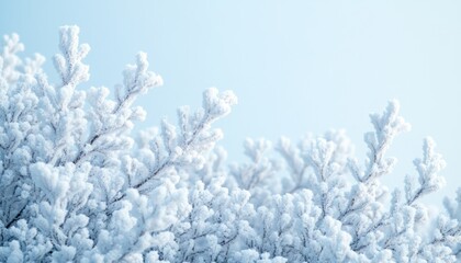 Frosty Branches In A Winter Wonderland Scene
