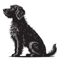 black goldendoodle Silhouette Vector, High Quality Illustration on White Background
