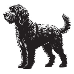 black goldendoodle Silhouette Vector, High Quality Illustration on White Background