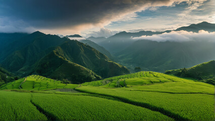 Fototapeta premium Green rice terraces with morning mist, traditional agriculture concept