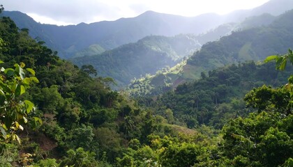 Fototapeta premium Lush mountain valley, sunlit vista