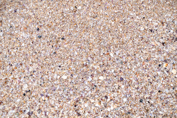Close up texture of colorful crushed seashells on the beach, ideal for natural backgrounds, travel themes, and summer design concepts