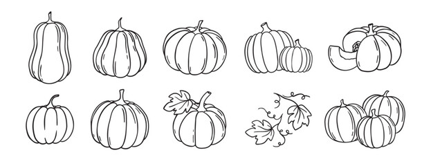 pumpkin and pumpkin leaves autumn harvest doodle hand drawn icon set. Outline drawing pumpkin line clipart symbol collection