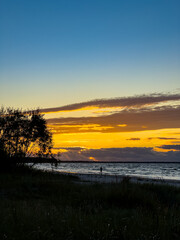 Spectacular sunset over the tranquil beach with silhouetted trees and gentle waves at dusk