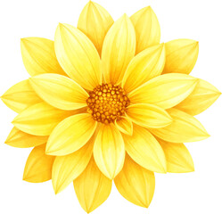 Obraz premium watercolor dahlia flower illustrations in various colors including pink, red, orange, and yellow. Some flowers have stems and green leaves, all depicted with delicate brushstrokes on a light textured 