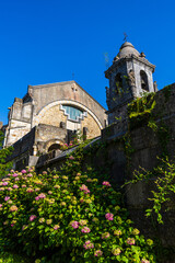 Fototapete bei efototapeten.de bestellen   