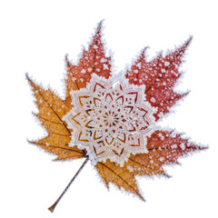 christmas star decoration