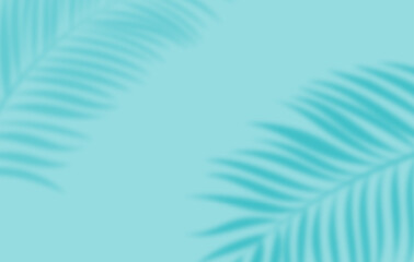 Soft palm leaf shadows over light blue background