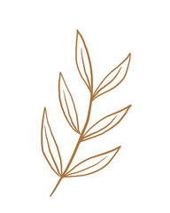 Png illustration of a leaf line art
