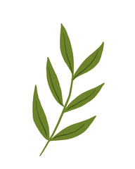 Obraz premium green leaves png illustration 