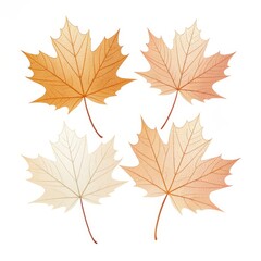 Fototapeta premium Four isolated maple leaves in various shades of orange and cream on a plain white background surface